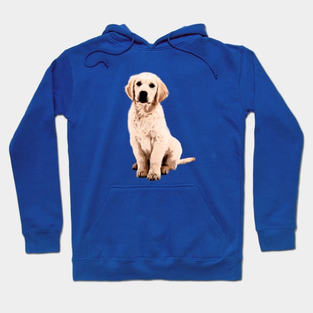 Golden Retriever Puppy Hoodie by MonkeyBusiness